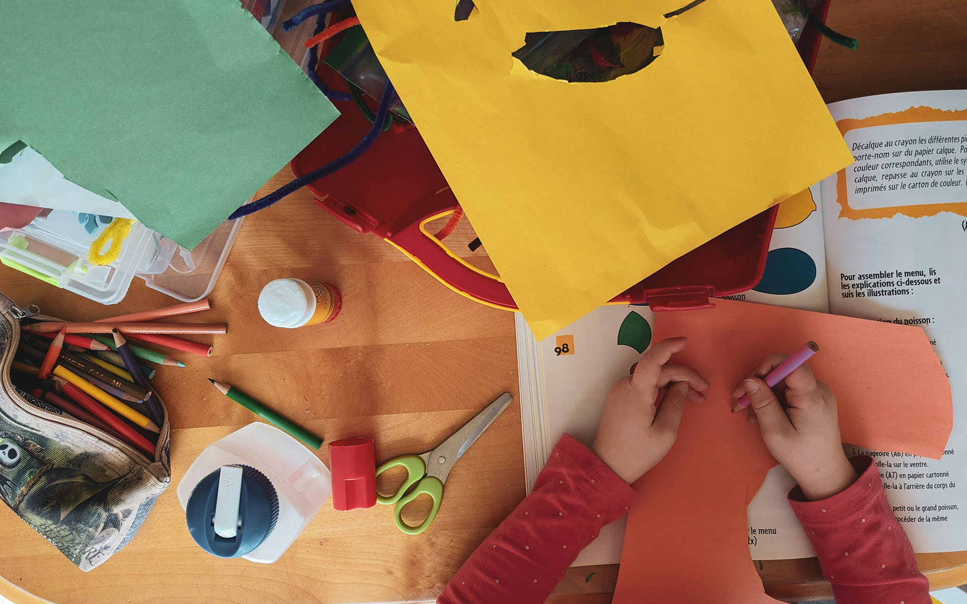 Trailblazers - Personalised curriculum for 5-14 year olds with ASD and anxiety